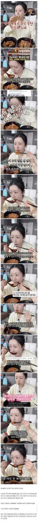 먹방 유튜버 수익 중단 오해와 진실.jpg