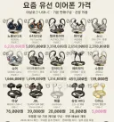요즘 유선 이어폰 가격
