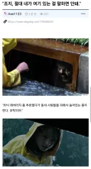 "조지, 내가 여기 있는 걸 절대 말하면 안돼."