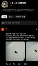혐) 악취나는 집에서 나오고 있다는 벌레 ㄷ
