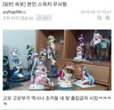 속보 본인 스위치 무사함