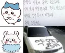먼작귀) 주차 곤란할때 대처방법