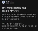 흔한 부산시 민원 근황