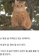 차단 한다 말하고 사라지는 유게이들 특징