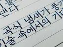 만년필 취미를 수집이 아니라..