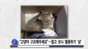 "고양이인 줄 알고 신고했는데"..주택가서 발견된 '반전' 정체