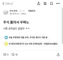 주가 폭락에 대한 삼전하닉 직원 반응이라네요