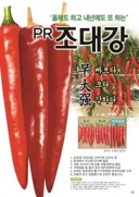 기합찬 국산 고추 품종들 이름