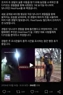 미국 경찰이 미니 당나귀를 쏴죽여서 논란...