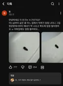 지금 난리난 곤충유튜버 다흑 커뮤니티 근황…jpg