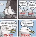 mbti N이랑 S가 대화 잘 안 통하는 이유.jpg