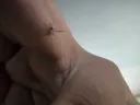 ㅈ같은 시발련 ㅋㅋㅋㅋㅋㅋㅋㅋㅋㅋㅋㅋㅋㅋㅋ