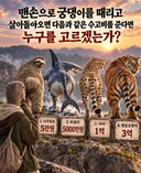 맨손으로 엉덩이 때릴 경우 수고비 준다면 누굴 고를거야?