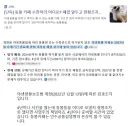 2027년까지 대부분의 동물카페는 폐업 예정