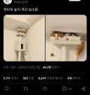 캣타워 높이 계산 실수함.jpg