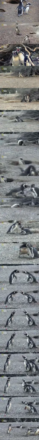 자기랑 불륜남 중에서 불륜남을 선택한 아내.jpg