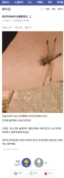 군복무 중에 "용"을 영접한 썰