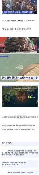 국산 위고비 근황