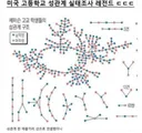 미국 고등학생들 성관계도 레전드