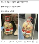 복숭아 어떻게 넣은 거야