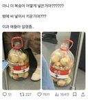 복숭아 어떻게 넣은 거야