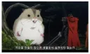생물 커트라인