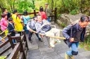 조상님들 과거 금강산 유람은 어떻게 그 산올라갈까 했는데