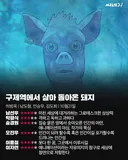 다음주 개봉 예정작들 박평식 한줄평 모음