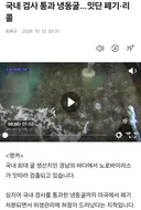 경남바다 굴 노로바이러스 비상