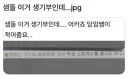 당황스러운 내용의 학교 생기부