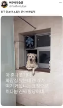 화장실 왔는데 개가 여기 왜 왔냐는 표정으로 쳐다봄