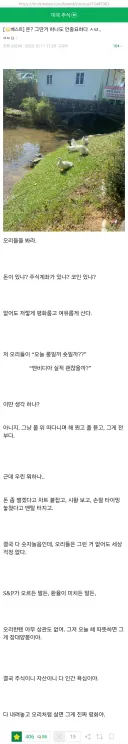 돈??그딴거 하나도 안중요하다 ㅅㅂ