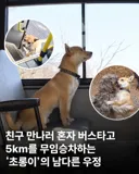 친구 만나러 매일 무임승차하는 강아지