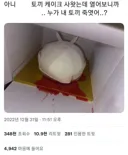 토끼 케이크 사왔는데 박스 열어보니까.jpg
