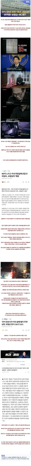 이제는 전설이 되어버린 95억 만삭 임산부 사망보험 사건