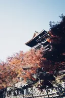 초스압.. 일본에서 찍은거