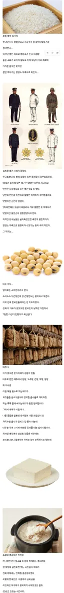 의외로)  한국인을 살린 식물 ㄷㄷ