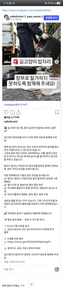길고양이 급식소 철거금지 법안 만들자는 캣맘 캣대디들