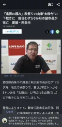 日) 취임 3개월 된 부시장이 마을 축제 가마에 깔려 사망