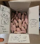 버튜버) 내가 쓴 글이 렉카 통해서 바이럴되었나봄