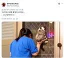 경찰차 구경하는 고양이와 집사.jpg