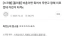 (펌) 비혼이면 죽어서 무연고 장례 치르겠네 이런거 타격x