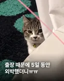 출장 때문에 5일 동안 외박했더니 ㅠㅠ