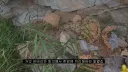 인방) 말벌집 부시는 방법