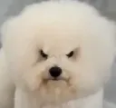 치지직 영도새치기 좀 짜증나네?