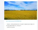 근데 일본에도 쌀숭이 드립 존재함?