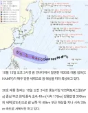 참피 근황