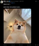 님들 그거 앎?