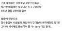 초등학생끼리 곤충 채집하러 가는거 허락해도 될까요?