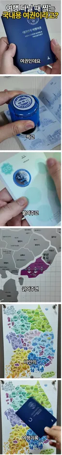 국내용 여권이라는 물건